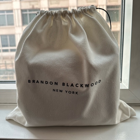 Brandon Blackwood Kendrick Trunk in Powder Blue with Brass Hardware - Picture 2 of 4